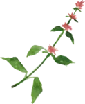 bloemetje van logo wildgekruid