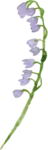 bloemetje van logo wildgekruid